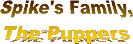 Spike's Family,
The Puppers